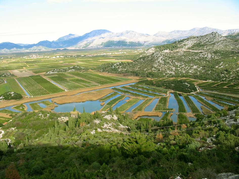 Dalmazia